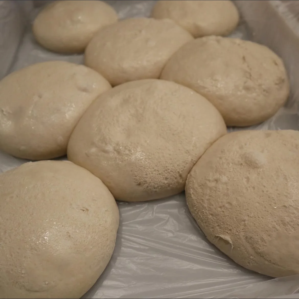 Panetti in maturazione a freddo